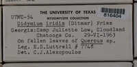 Image Associated With the Occurence
